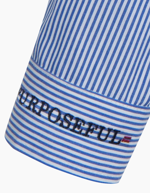 Рубашка в бело-голубую полоску