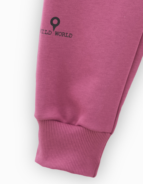 Брюки-джоггеры в трендовом оттенке красная слива