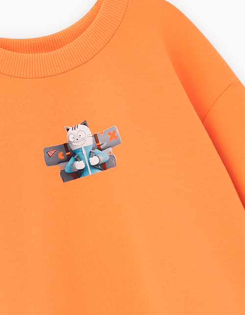 Свитшот для мальчика