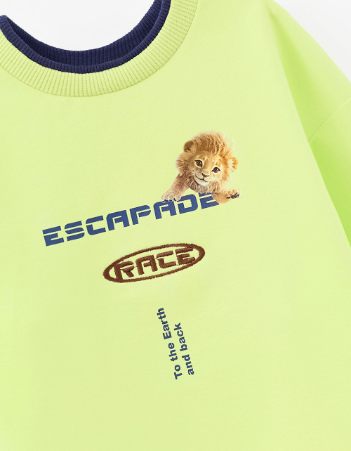 Свитшот лайм для мальчика