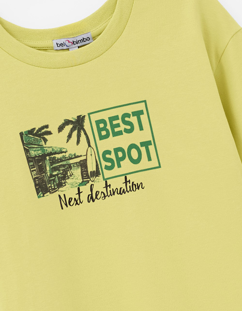 Фисташковая футболка для мальчика